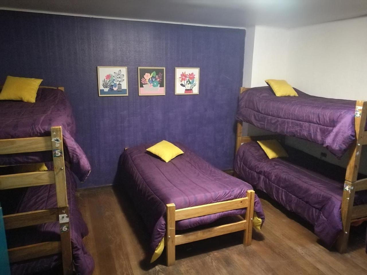 Columba Hostel Виня дел Мар Екстериор снимка