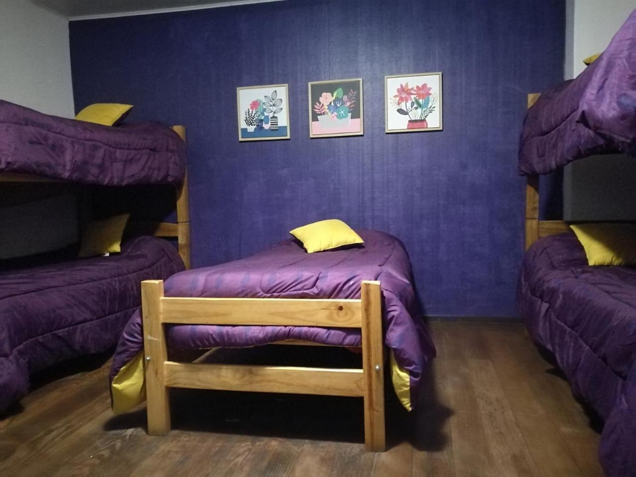 Columba Hostel Виня дел Мар Екстериор снимка