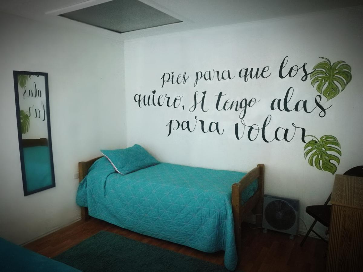 Columba Hostel Виня дел Мар Екстериор снимка